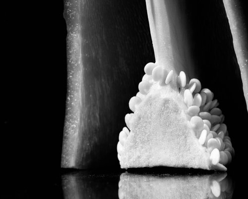 mindful eating nutrition